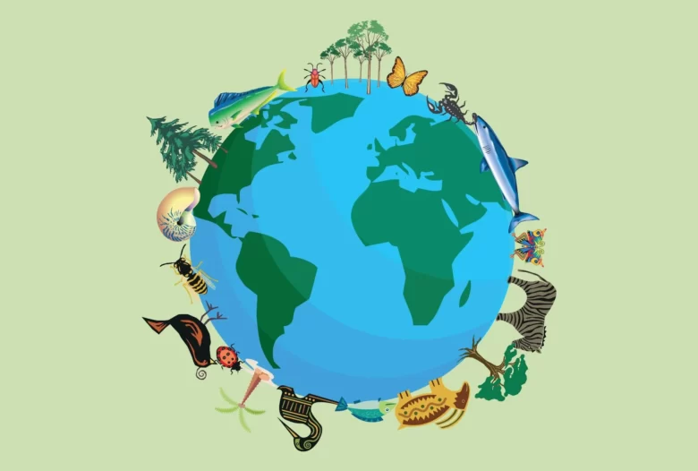 Biodiversity and Ecosystem Preservation